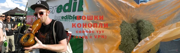 прущие крисы Бородино
