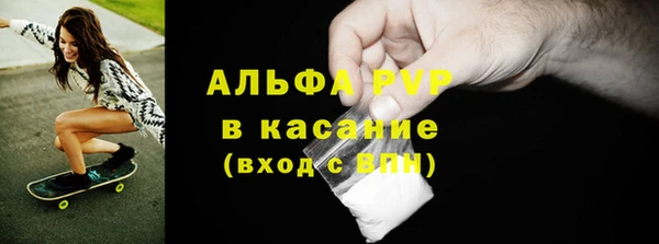 прущие крисы Бородино