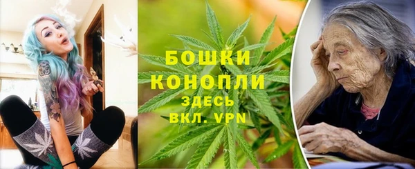 гидра Верея