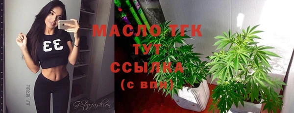 прущие крисы Бородино