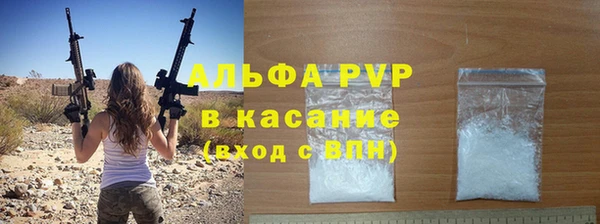 прущие крисы Бородино